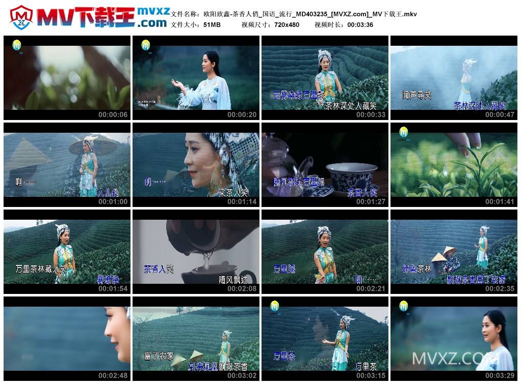 欧阳欣鑫-茶香人俏_国语_流行_MD403235